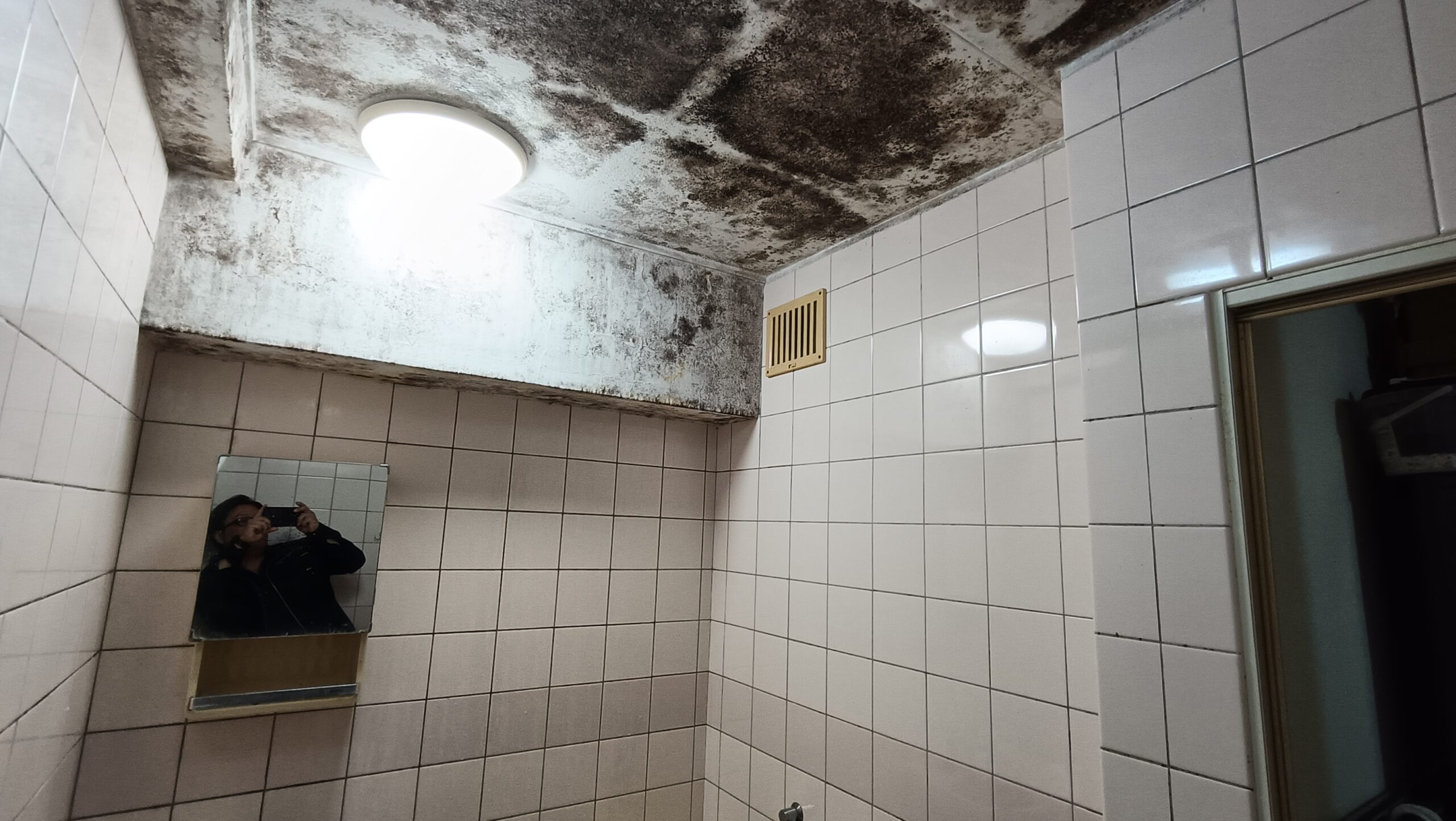 【緊急対応！】小金井市にて給湯管不具合による調査・交換工事がスタートしました！